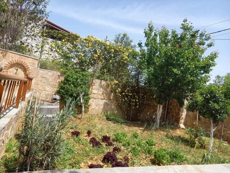 Peaceful House Near Airport Villa Pikérmion Dış mekan fotoğraf